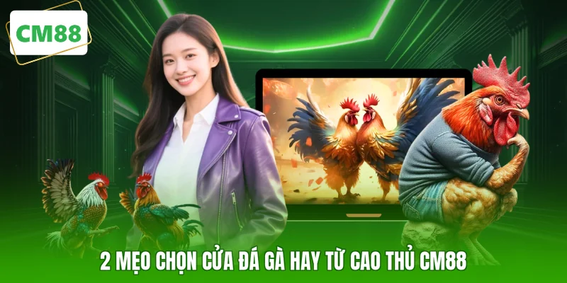 2 mẹo chọn cửa đá gà hay từ cao thủ CM88