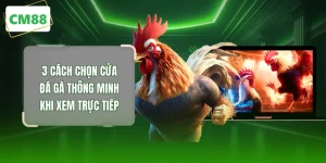 Chọn Cửa Đá Gà