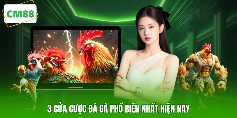 3 cửa cược đá gà phổ biến nhất hiện nay