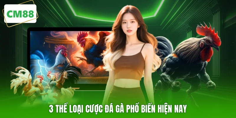 3 thể loại cược đá gà phổ biến hiện nay