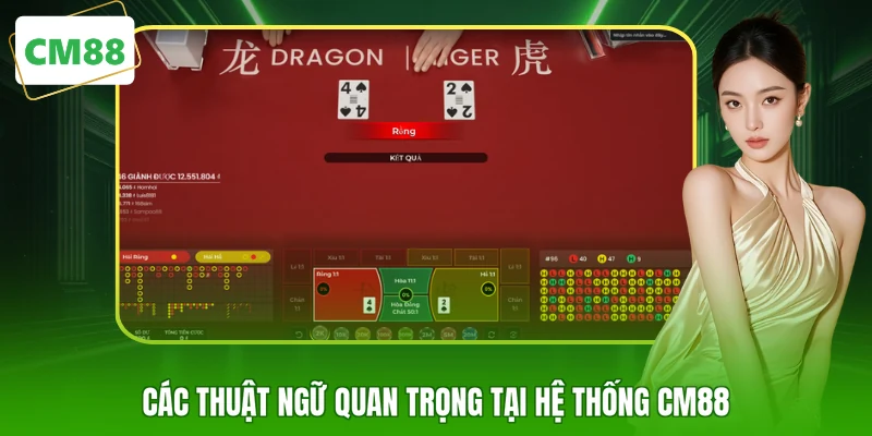 Các thuật ngữ quan trọng tại hệ thống CM88