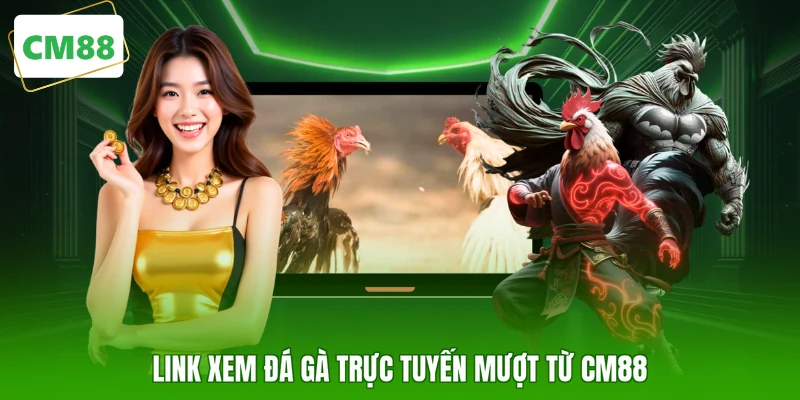 Link xem đá gà trực tuyến mượt từ CM88