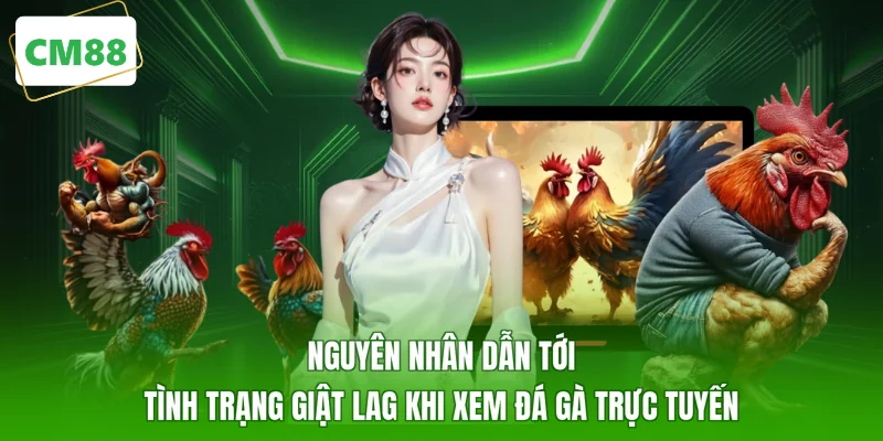 Nguyên nhân dẫn tới tình trạng giật lag khi xem đá gà trực tuyến