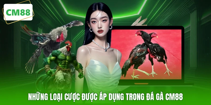 Những loại cược được áp dụng trong đá gà CM88