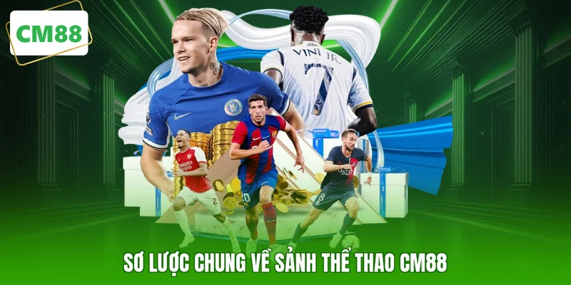 Sơ lược chung về sảnh thể thao CM88