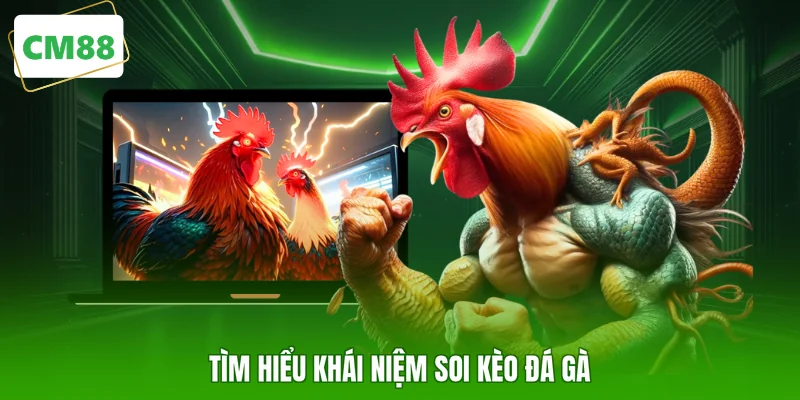 Tìm hiểu khái niệm soi kèo đá gà