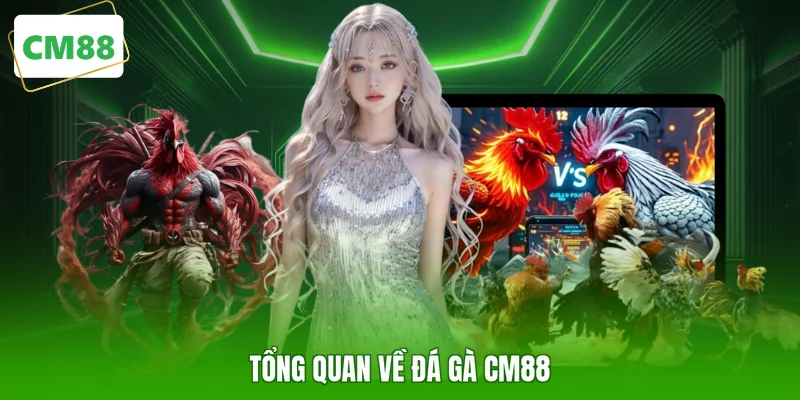 Tổng quan về đá gà CM88