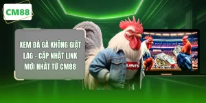 Xem Đá Gà Không Giật Lag